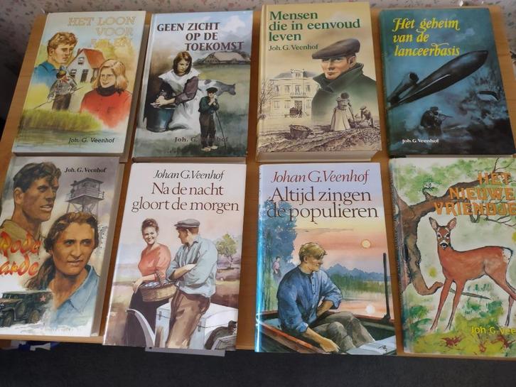 Diverse boeken- Joh G Veenhof, Boeken, Streekboeken en Streekromans, Gelezen, Ophalen of Verzenden