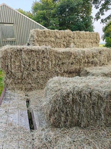 Vers hooi kleine pakjes, goede kwaliteit, ook voor paarden  beschikbaar voor biedingen