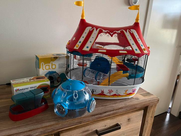 Hamster hok circustent, Dieren en Toebehoren, Knaagdieren en Konijnen | Hokken en Kooien, Gebruikt, Kooi, Minder dan 60 cm, Minder dan 75 cm