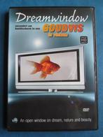 Dreamwindow - Goudvis, Alle leeftijden, Ophalen of Verzenden, Zo goed als nieuw