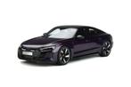 Gt Spirit Audi RS E Tron GT
1/999
1:18 Nieuw, Hobby en Vrije tijd, Modelauto's | 1:18, Ophalen of Verzenden, Nieuw, Auto