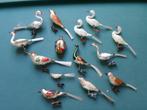 Vogels    Oud., Ophalen of Verzenden, Gebruikt