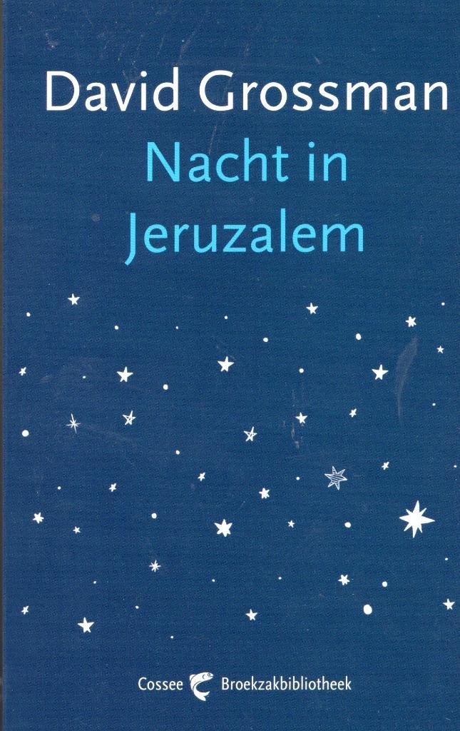 Nacht In Jeruzalem - David Grossman BOEK 9789059367616, Boeken, Romans, Zo goed als nieuw, Ophalen of Verzenden