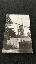 Bredevoort ( Aalten) Molen, Verzamelen, Ansichtkaarten | Nederland, Gelderland, 1960 tot 1980, Ongelopen, Ophalen of Verzenden