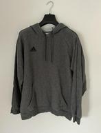 Grijze trui Adidas, L, Ophalen of Verzenden, Gedragen, Maat 42/44 (L), Grijs