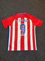 Atletico Madrid Thuis 2016/2017 Torres, Maat L, Ophalen of Verzenden, Zo goed als nieuw, Shirt