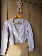 Roze vest 146/152, Kinderen en Baby's, Kinderkleding | Maat 146, Ophalen of Verzenden, Zo goed als nieuw, Meisje, Trui of Vest