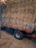 Hooi, Dieren en Toebehoren, Ophalen of Verzenden, Vee