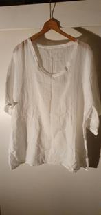 2 nieuwe bloussen  mt 42, Ophalen of Verzenden, Nieuw, Maat 42/44 (L)