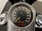 Dikke HARLEY-DAVIDSON SOFTAIL STANDARD FXST ( LEASE ) 2003, Motoren, Motoren | Harley-Davidson, 2 cilinders, Bedrijf, 1449 cc