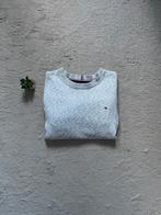 Tommy hilfiger trui-grijs, Maat 48/50 (M), Tommy Hilfiger, Ophalen of Verzenden, Grijs