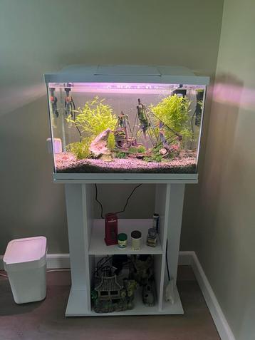 Superfish aquarium met extras en kastje  beschikbaar voor biedingen