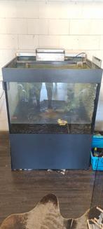 GRATIS, Dieren en Toebehoren, Vissen | Aquaria en Toebehoren, Ophalen, Gebruikt, Leeg aquarium