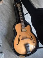 Ibanez PM20 Pat Metheny - Custom Staartstuk, Muziek en Instrumenten, Ophalen, Gebruikt, Hollow body, Ibanez