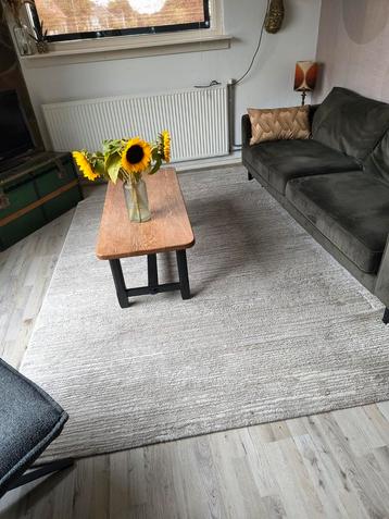 rustig vloerkleed 300x200 beschikbaar voor biedingen