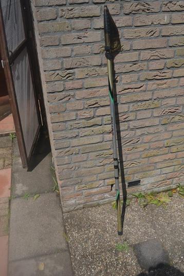 hengels roofvis/witvis beschikbaar voor biedingen