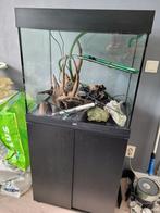 Juwel Lido 120 aquarium met meubel +decoratie + buitenfilter, Ophalen, Gebruikt, Leeg aquarium