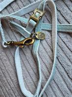 Nieuw katten / hond tuigje Designed by Lotte. Mint groen ., Ophalen of Verzenden, Nieuw