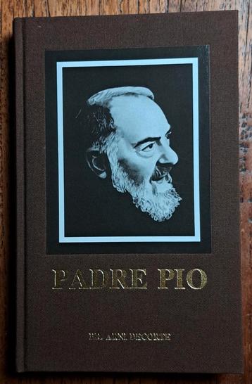 Padre Pio  door Broeder Arni Decorte beschikbaar voor biedingen