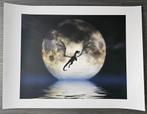 Dragon Moon Art Print - Julie Fain, Ophalen of Verzenden