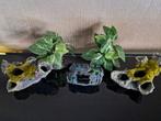 Aquarium decoratie en plantjes samen €10, Dieren en Toebehoren, Ophalen of Verzenden, Zo goed als nieuw, Plant(en), Steen of Hout
