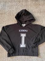 Iceberg hoodie sweater 128, Ophalen of Verzenden, Zo goed als nieuw, Meisje, Trui of Vest