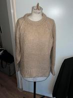 Cos trui, Kleding | Dames, Verzenden, Zo goed als nieuw, Maat 38/40 (M)