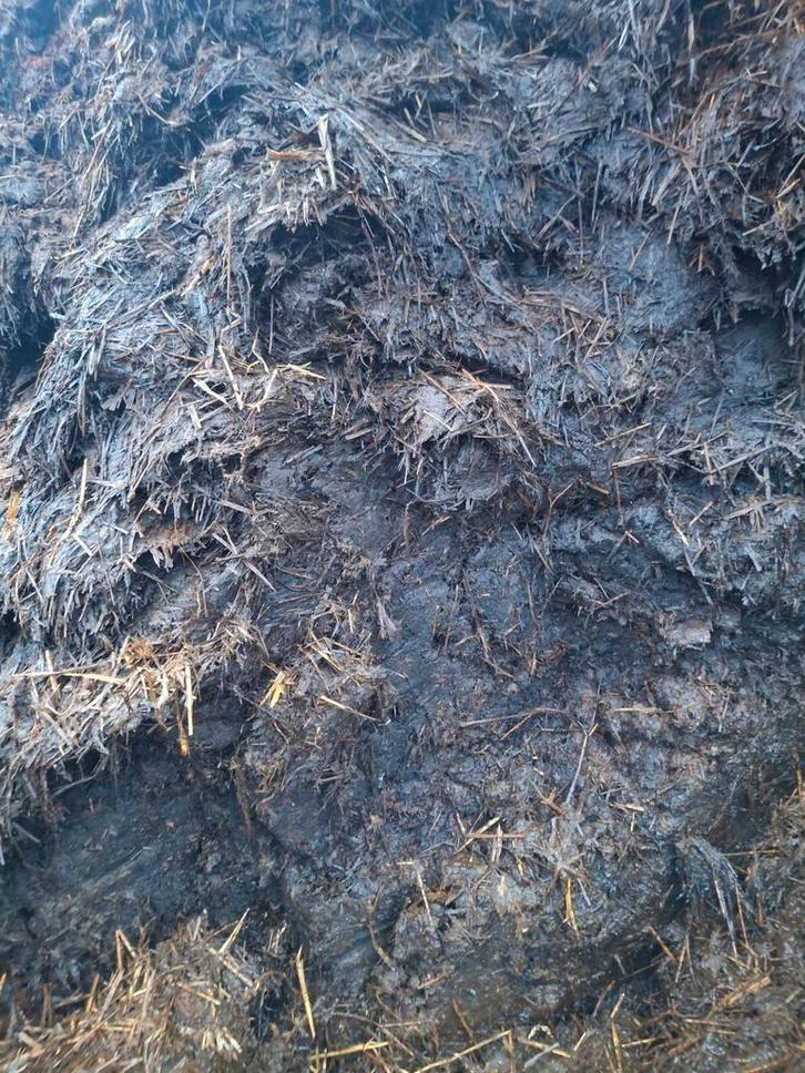 Vaste rundveemest, Tuin en Terras, Aarde en Mest, Tuinaarde, Ophalen