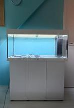 Juwel Rio LED aquarium 180 liter inclusief meubel, Dieren en Toebehoren, Vissen | Aquaria en Toebehoren, Ophalen, Gebruikt, Leeg aquarium