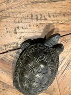 Bronzen schildpad, Huis en Inrichting, Woonaccessoires | Overige, Ophalen of Verzenden