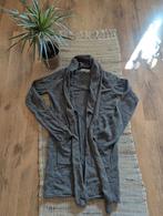 Wollen vest, Kleding | Dames, Maat 38/40 (M), Ophalen of Verzenden, Grijs, Rene van der wijck
