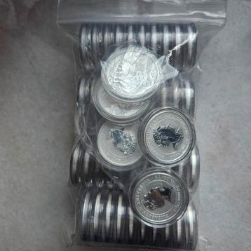 48 x halve ounce lunar 3 year of the ox 2021 beschikbaar voor biedingen
