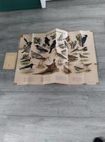 ZANGVOGELS en BOS en WEIDEVOGELS jaren 50, Ophalen of Verzenden, Natuur en Biologie