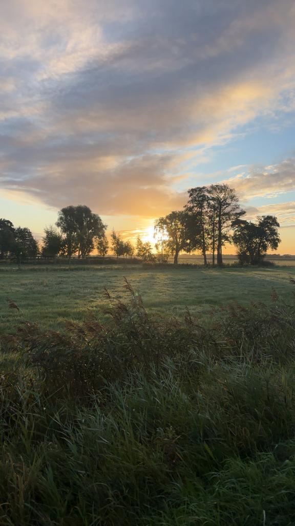 Piet's Prachtige Natuurfoto, Tuin en Terras, Planten | Tuinplanten, Vaste plant, Overige soorten, Volle zon, Bloeit niet, Ophalen of Verzenden