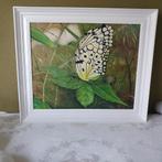 Schilderij met Leuconoe vlinder, Ophalen