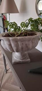 Landelijke planten pot, Tuin, Gebruikt, Minder dan 30 cm, Minder dan 60 cm