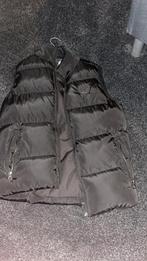 Malelions Bodywarmer - Stijlvol en Warm!, Ophalen of Verzenden, Zo goed als nieuw, Maat 46 (S) of kleiner, Zwart
