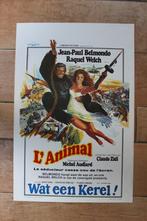 filmaffiche Jean-Paul Belmondo l'animal filmposter, Rechthoekig Staand, Ophalen of Verzenden, Zo goed als nieuw, A1 t/m A3