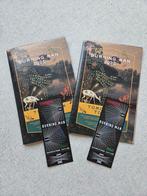Burning Man Tickets 2025 - Festival - Two tickets, Twee personen