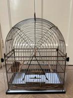 Zo goed als nieuwe surinaamse zangkooi, Ophalen of Verzenden, Zo goed als nieuw, Metaal, Vogelkooi