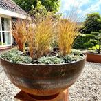 cortenstaal bloembak, plantenbak, bolvorm, rond, Rond, Nieuw, Metaal, Tuin