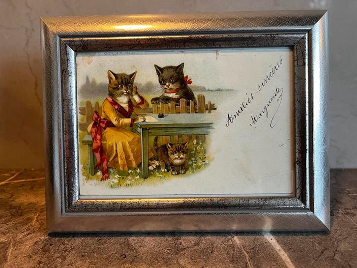 katten, Dieren en Toebehoren, Katten-accessoires, Gebruikt, Ophalen of Verzenden