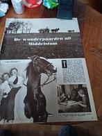 Artikel wonderpaarden uit Middelstum 1954, Verzamelen, Ophalen of Verzenden, 1940 tot 1960, Knipsel(s)