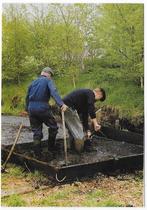 NIJ Beets Damshus Baggelen Ongelopen Ansichtkaart ( A17), Ophalen of Verzenden, 1980 tot heden, Ongelopen