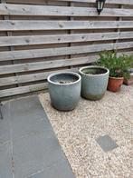 Gratis bloempotten., Minder dan 60 cm, Rond, Ophalen of Verzenden, Zo goed als nieuw