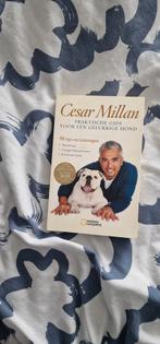Cesar Millan - Praktische gids voor een gelukkige hond, Honden, Zo goed als nieuw, Cesar Millan, Ophalen of Verzenden