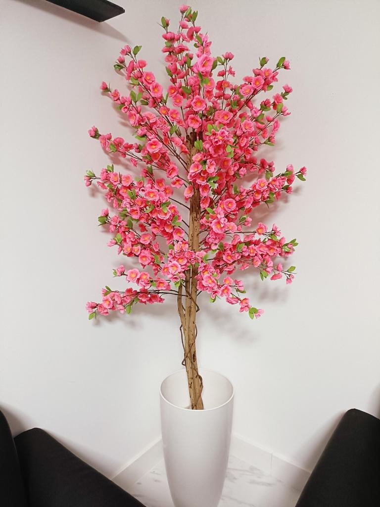 Bloesems boom, Ophalen of Verzenden, Zo goed als nieuw