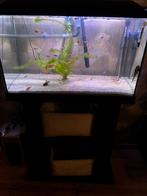 Complete 60 liter aquarium, Ophalen, Zo goed als nieuw, Leeg aquarium