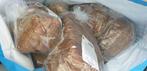 brood ,, Dieren en Toebehoren, Pluimvee, Mannelijk, Kip