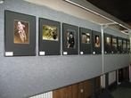 15+ Foto tentoonstellingspanelen 2m40 incl verlichting enz, Ophalen of Verzenden, Gebruikt